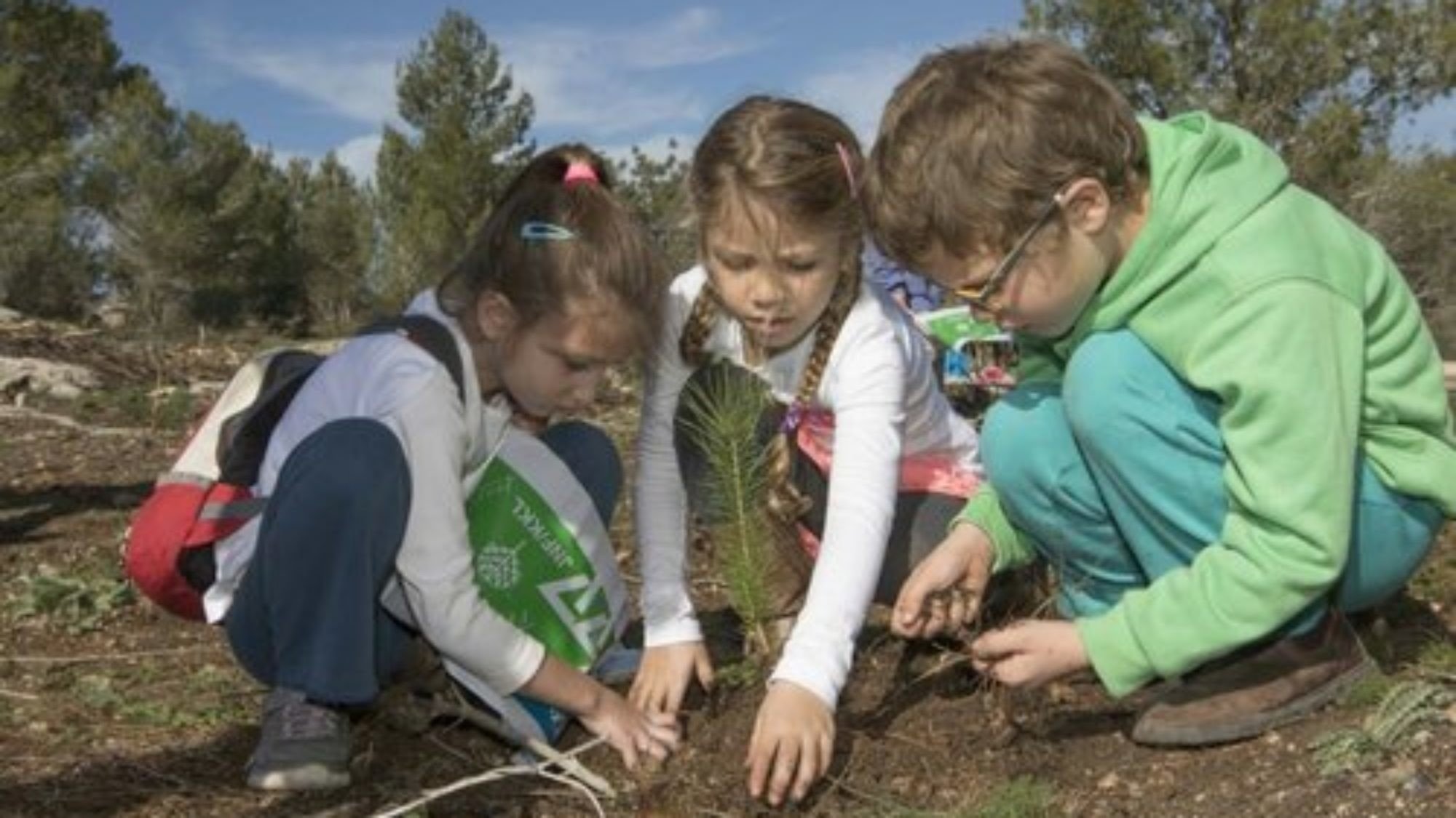 Дети садят растения