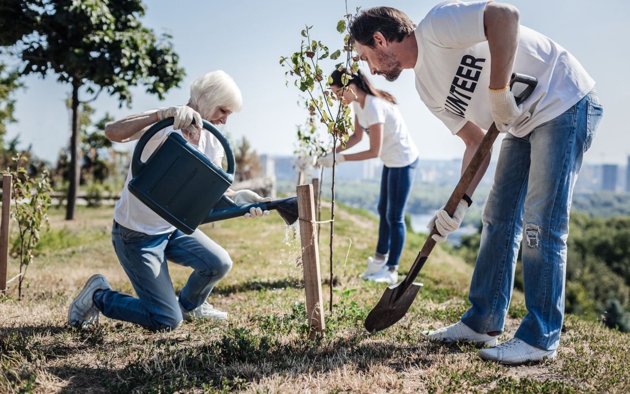 Волонтеры сажают деревья