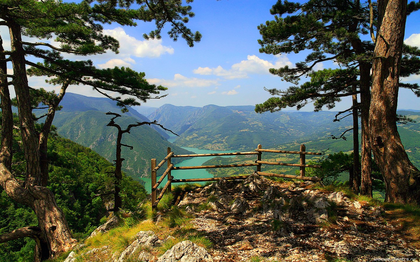 Черногория лес горы