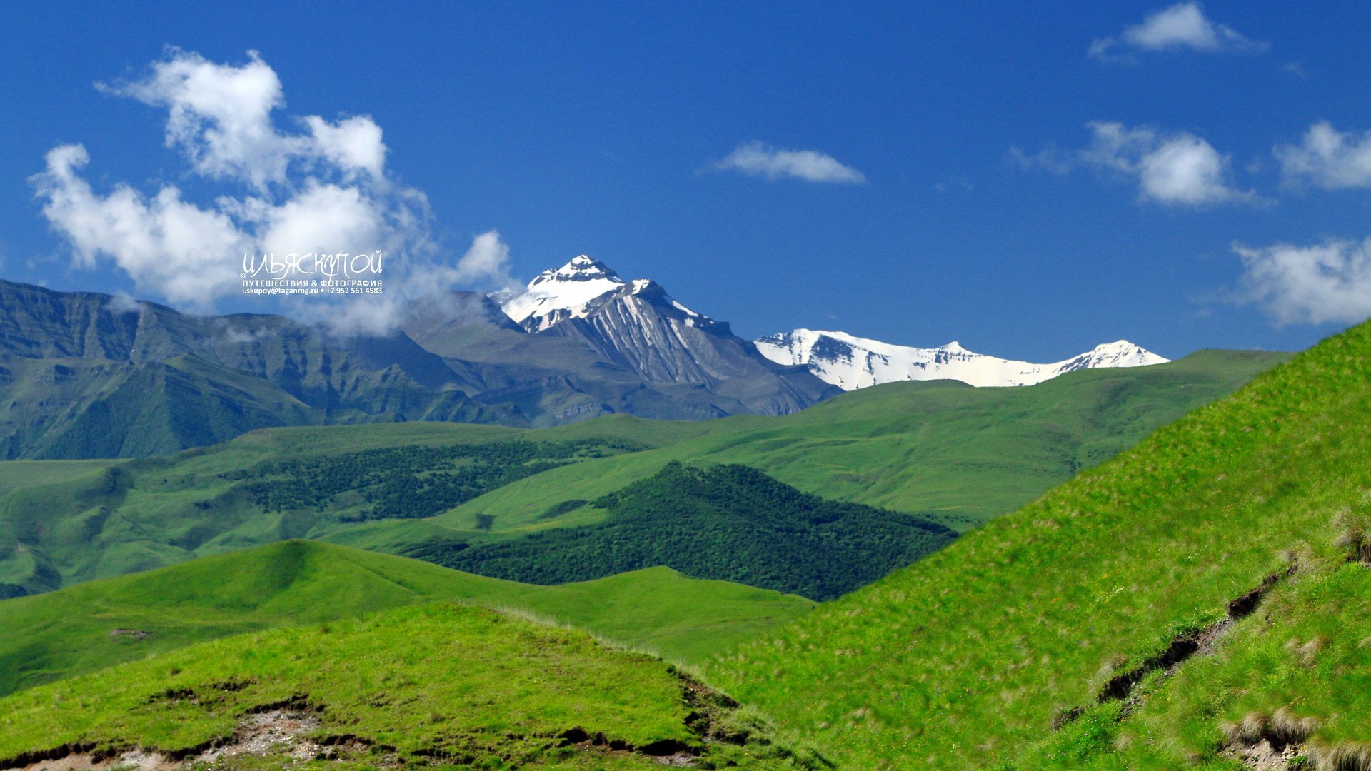 Природа Дагестана Альпийские Луга