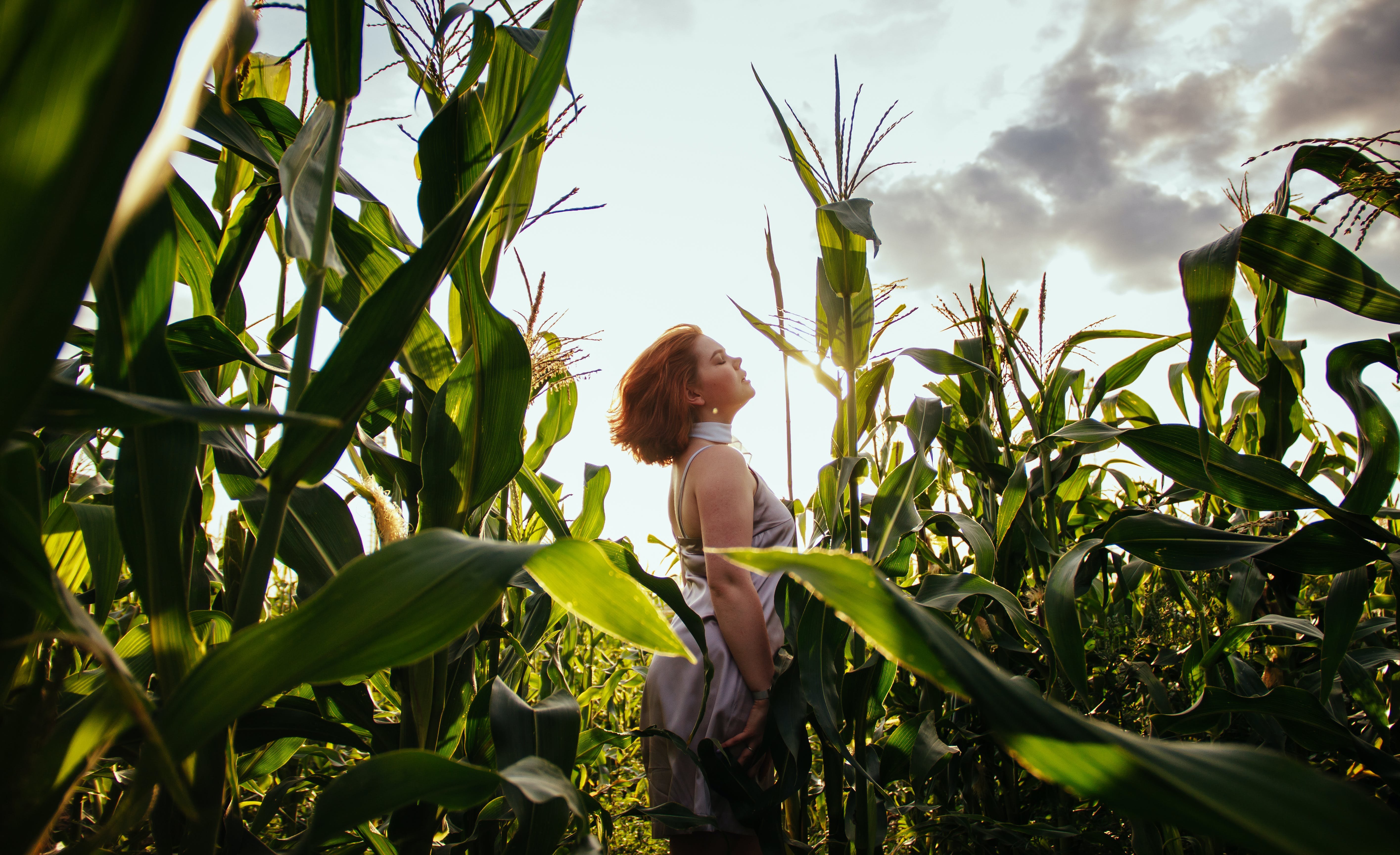 Девушка дрочит киску в кукурузном поле