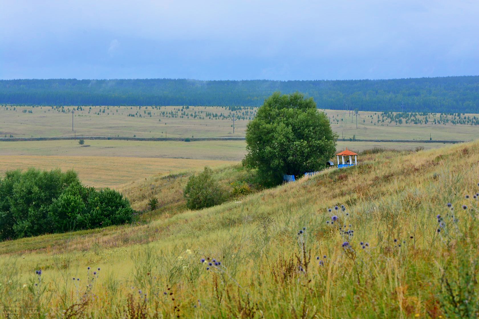 Хвалынский национальный парк Волга