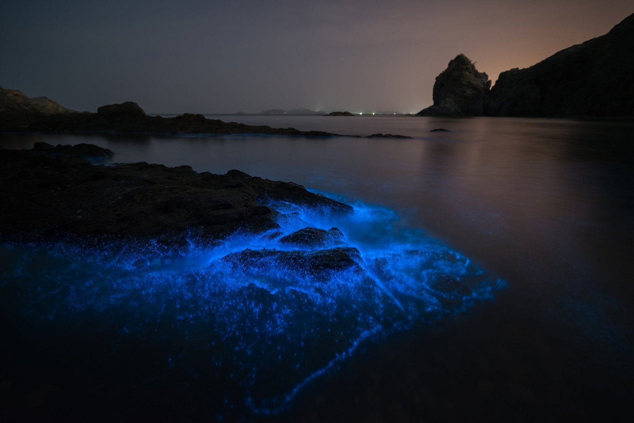 Светящийся планктон в черном море Крым