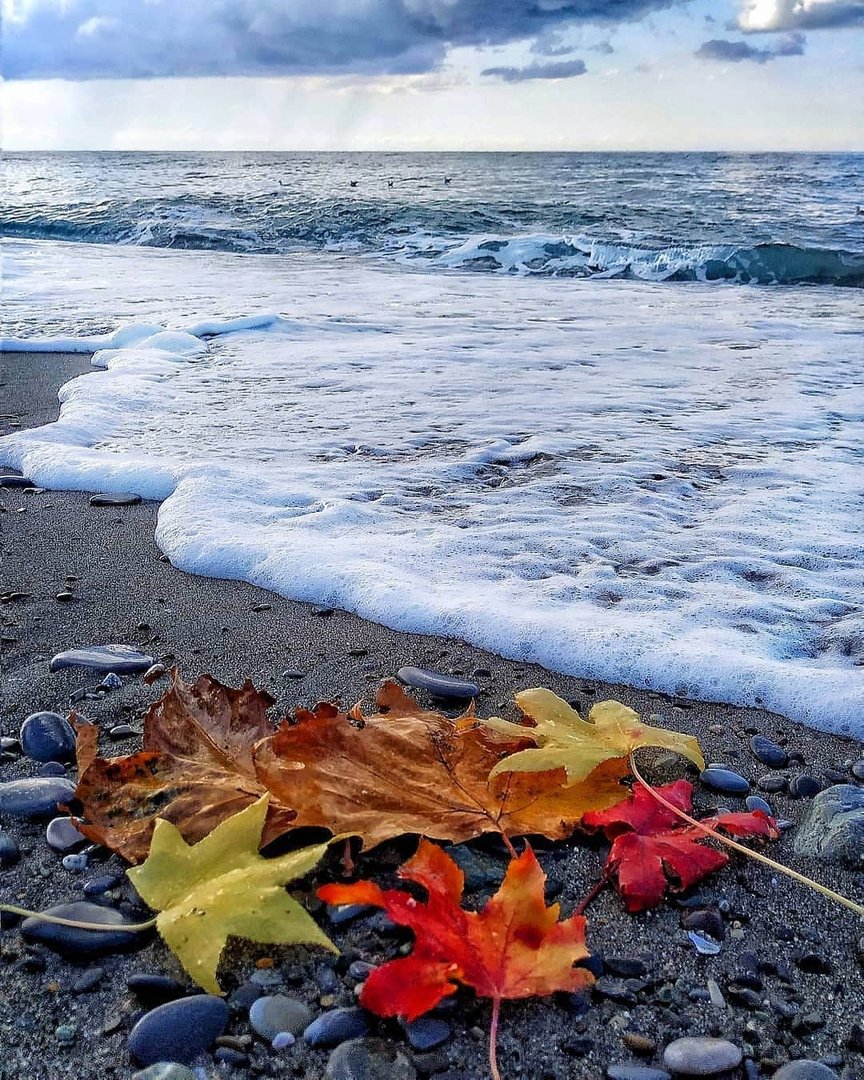 Осеннее море