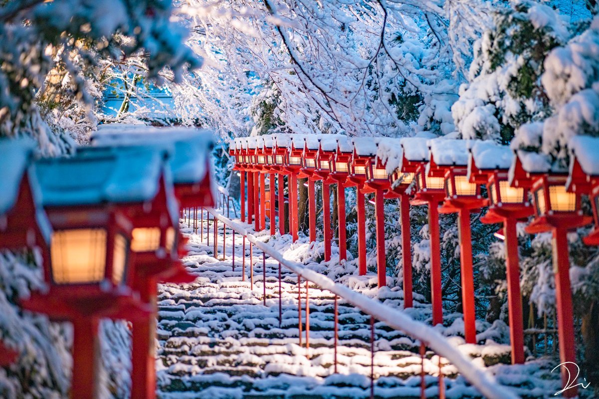 Япония декабрь природа