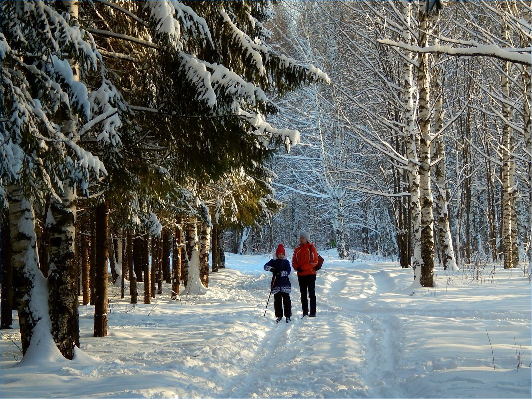 Прогулка по лесу зимой