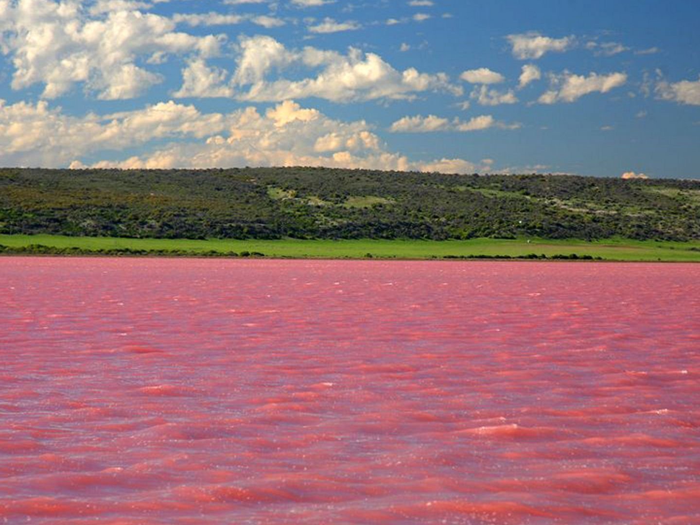 Озеро Хиллиер, Западная Австралия