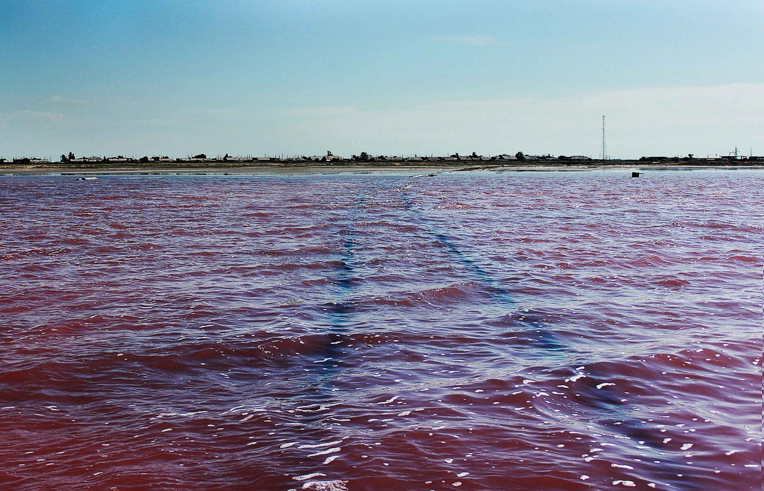 фото озеро малиновое алтайский край