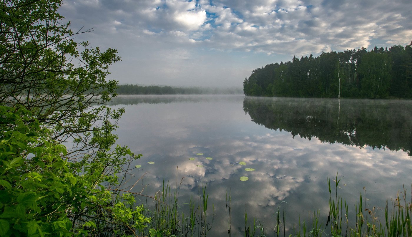 Луковое озеро Ногинск