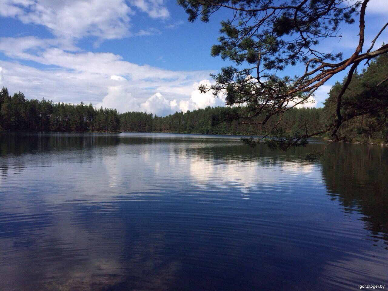 Озеро Гогол Беларусь