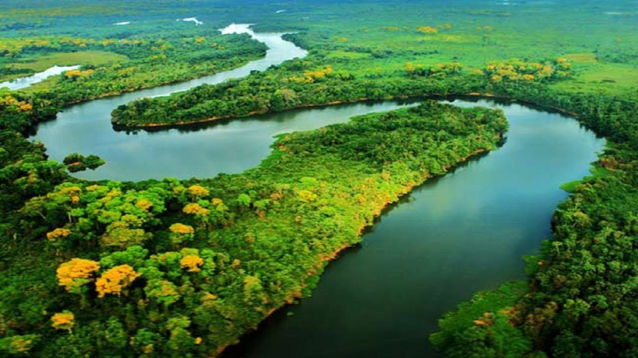 Амазония в Венесуэле