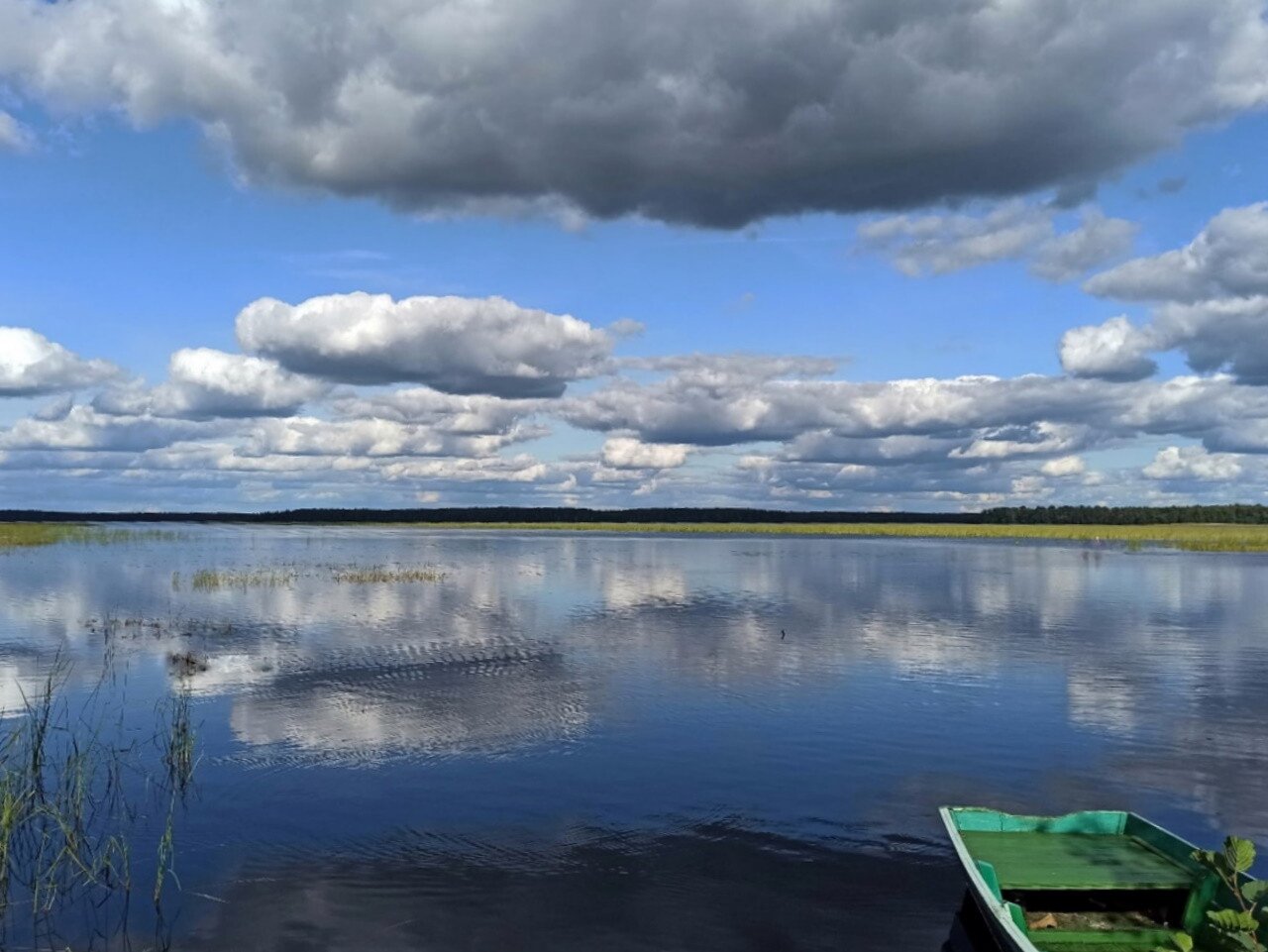 Озеро белое Клепиковский район