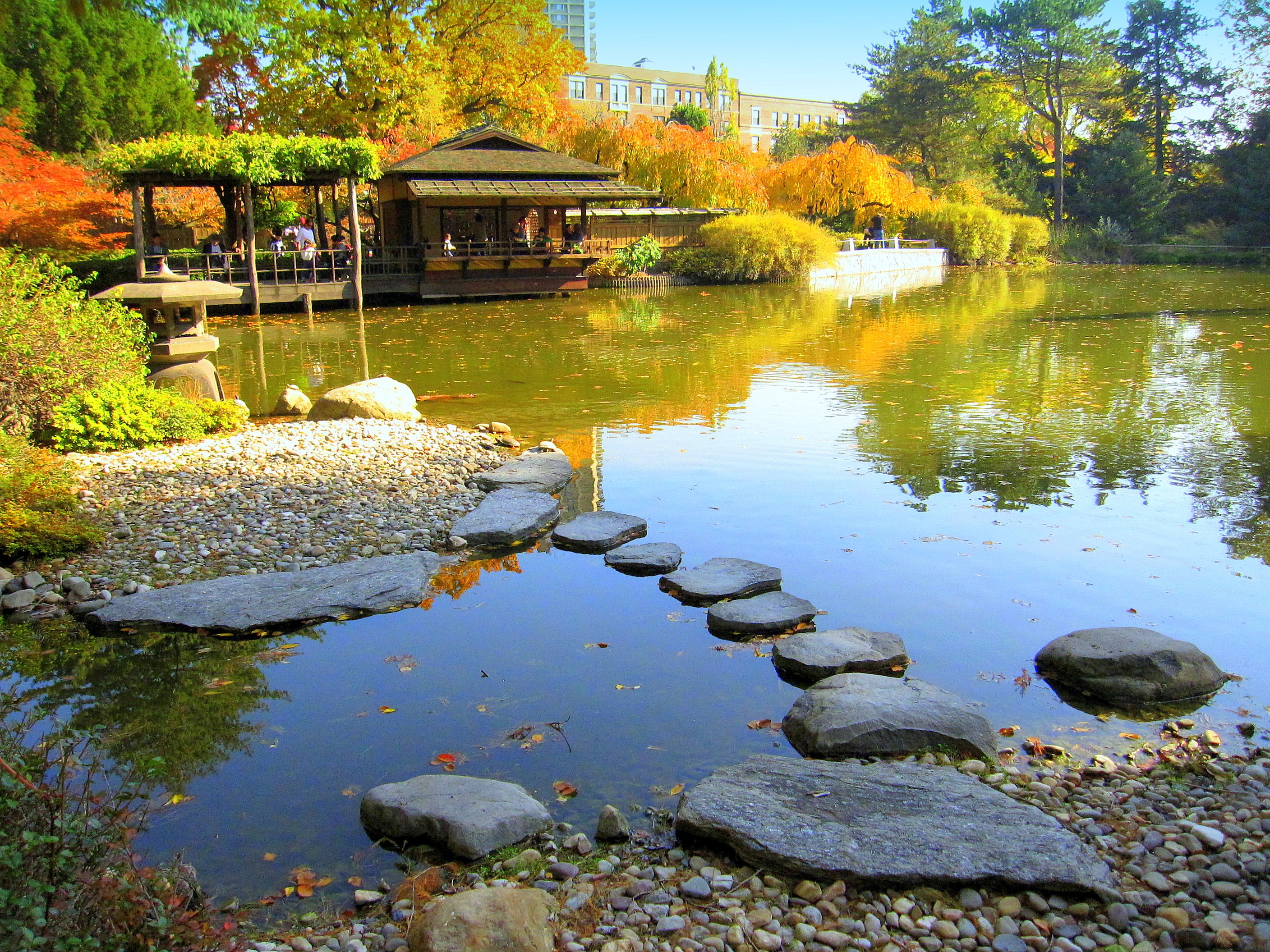 Georgiaville pond photos