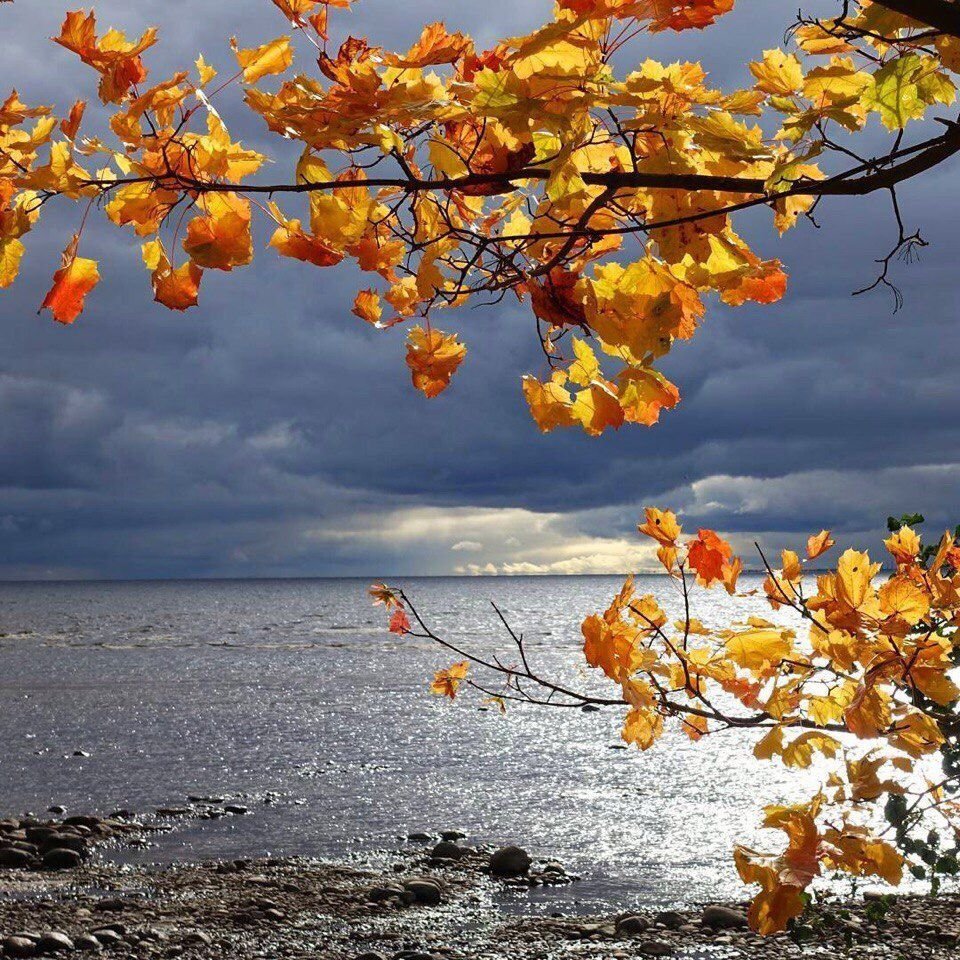 Финский залив осенью