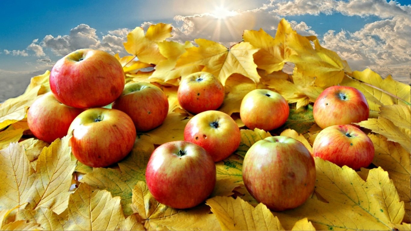 яблоки фото на рабочий стол