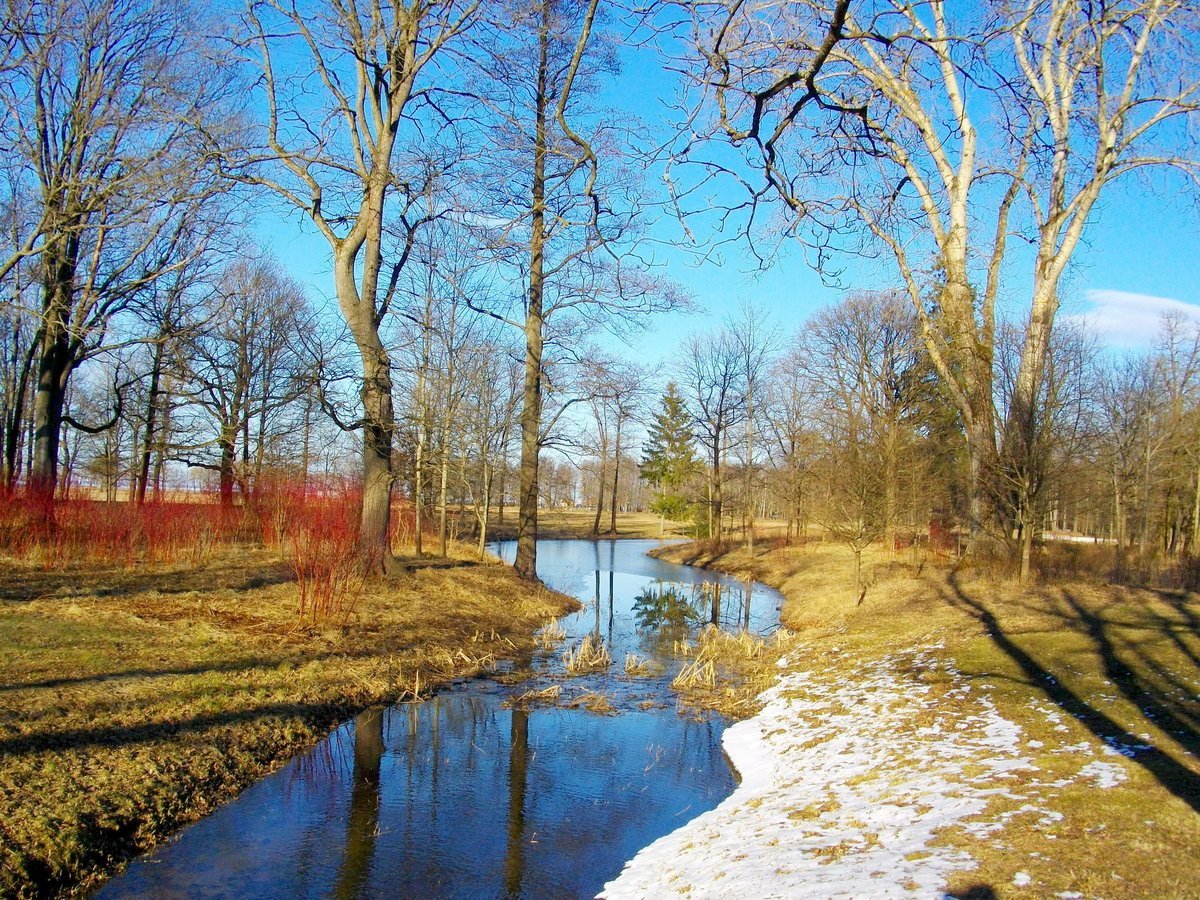 Весна картинки фото