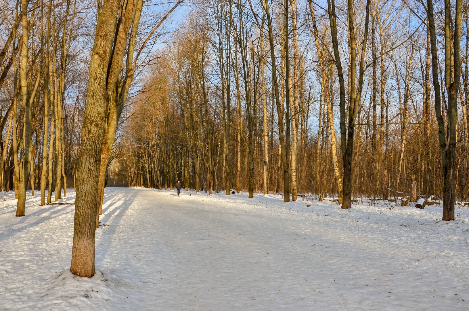 Аршиновский парк зима
