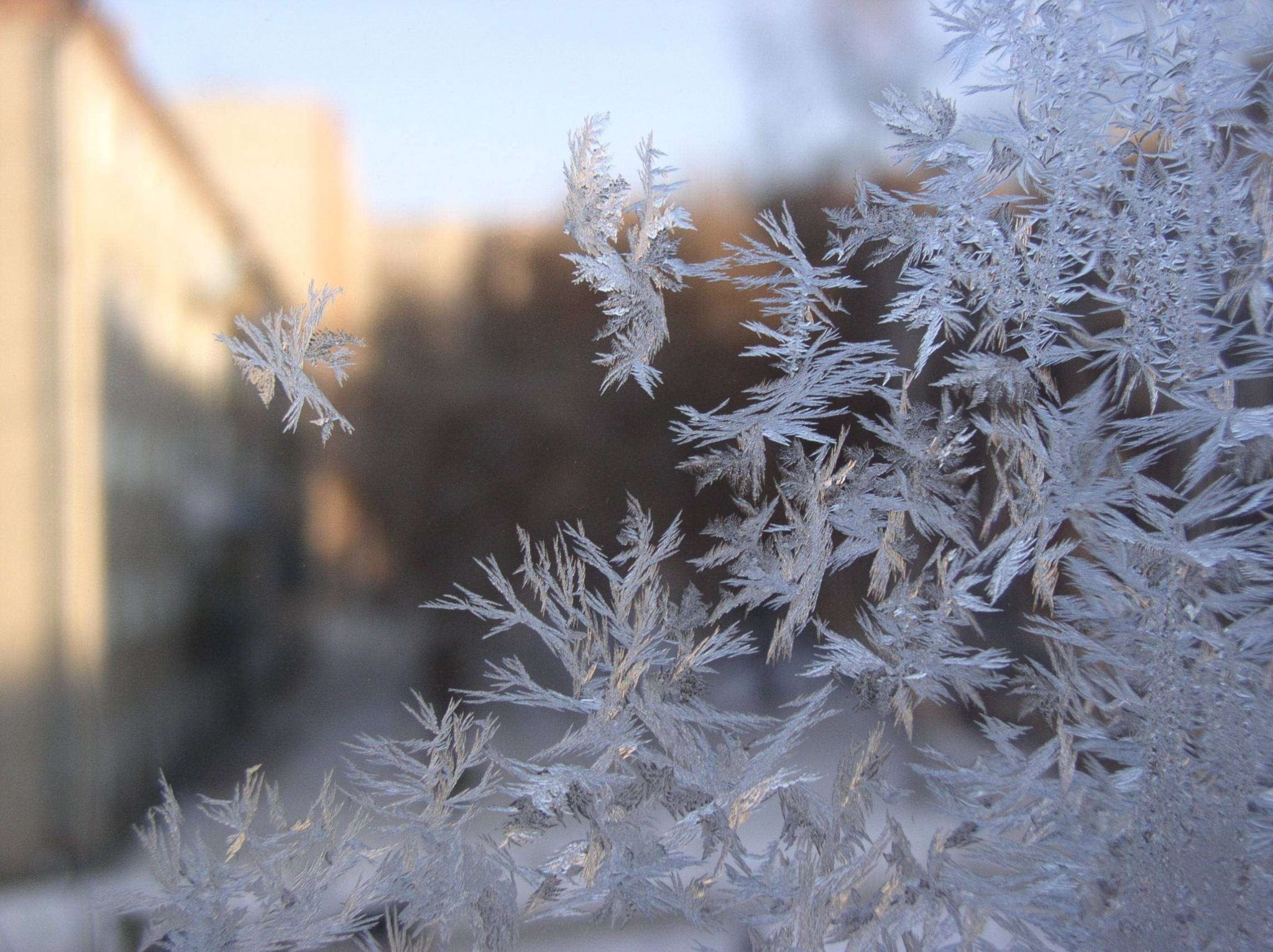 Мороз на окне фото