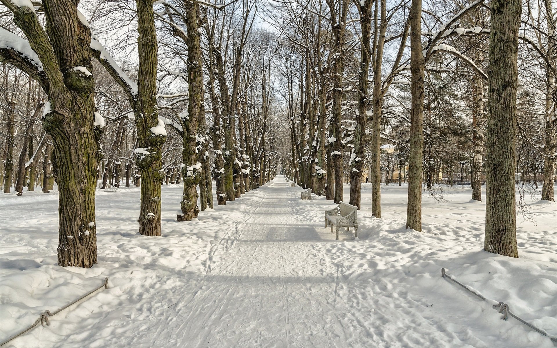 Парк Лефортово зимой