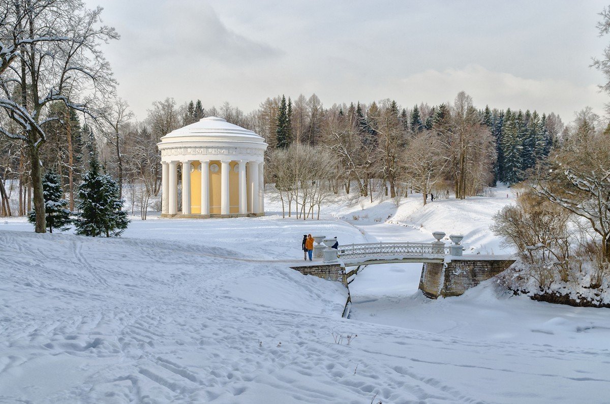 Павловск парк зимой