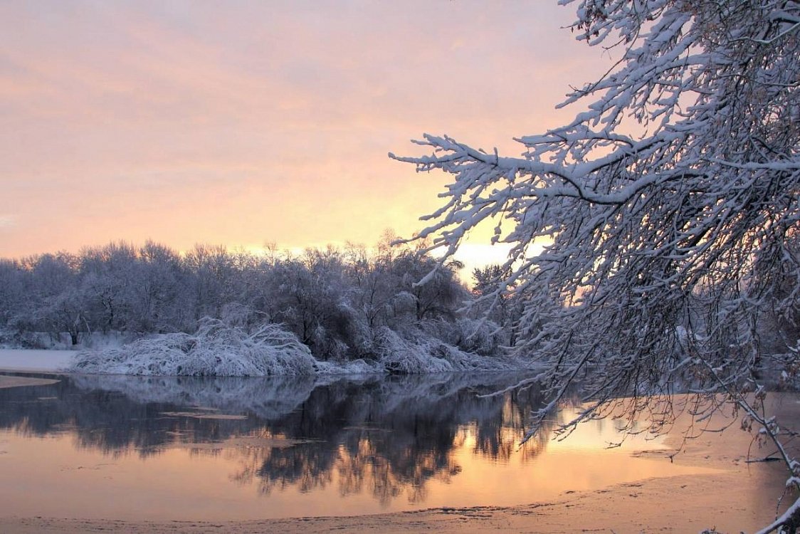 Природа Брянского края зимой