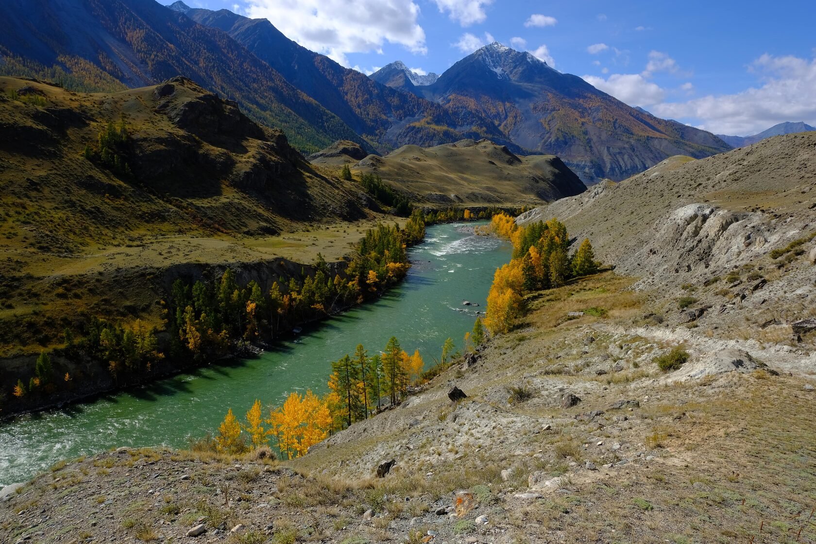 Долина реки Аргут горный Алтай