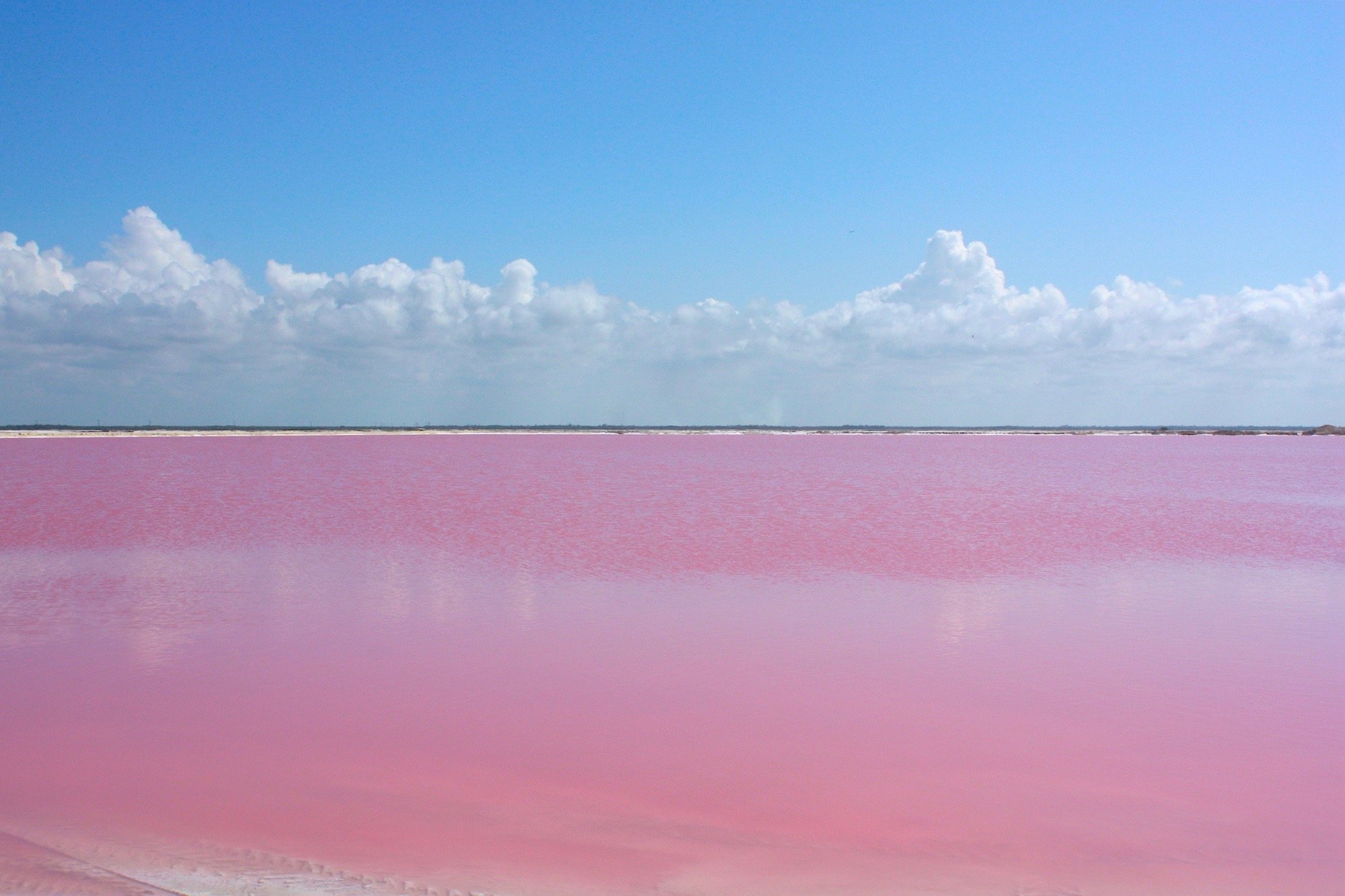 Розовое море Сасык Сиваш