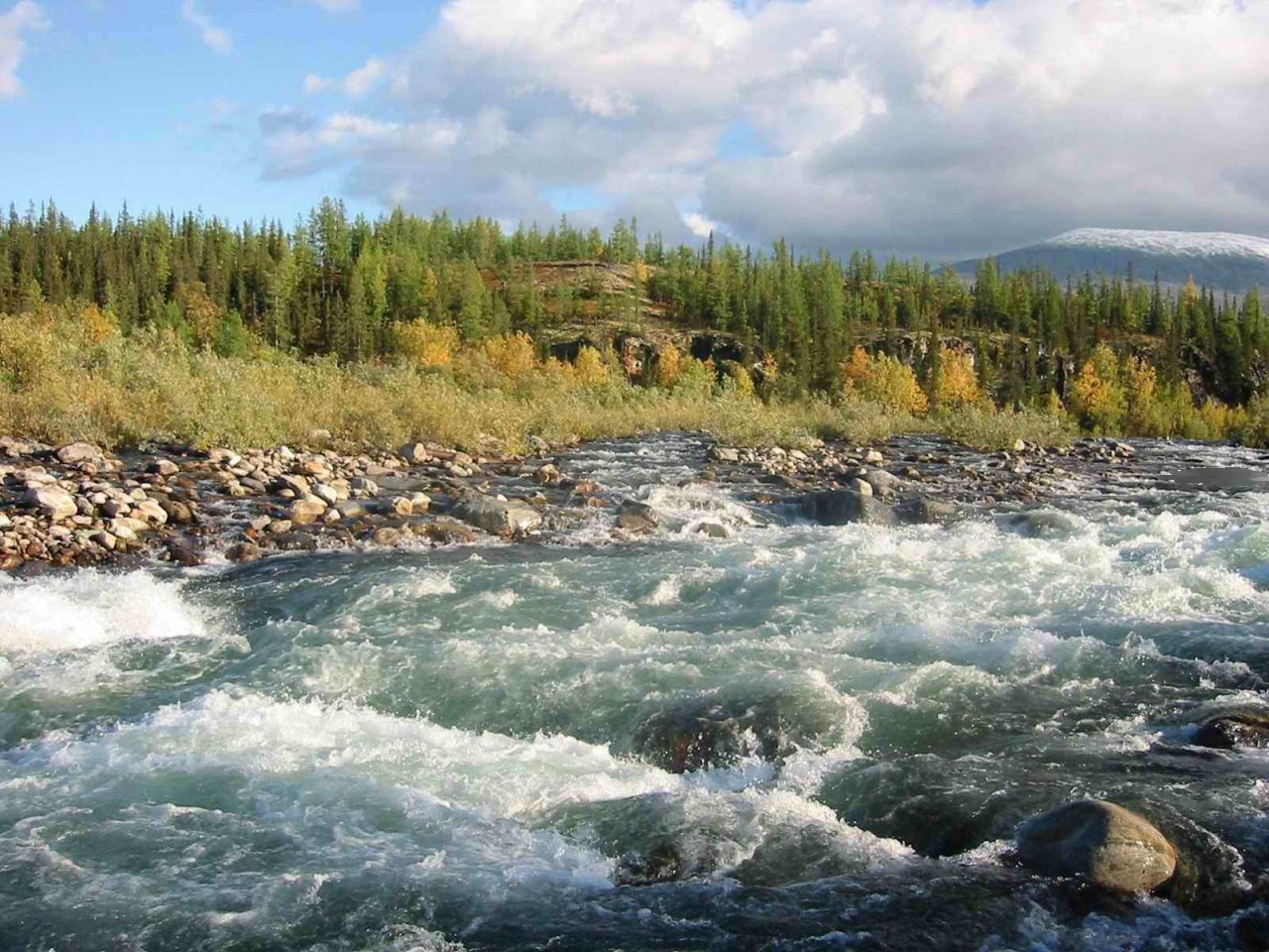 Косью река реки Республики Коми