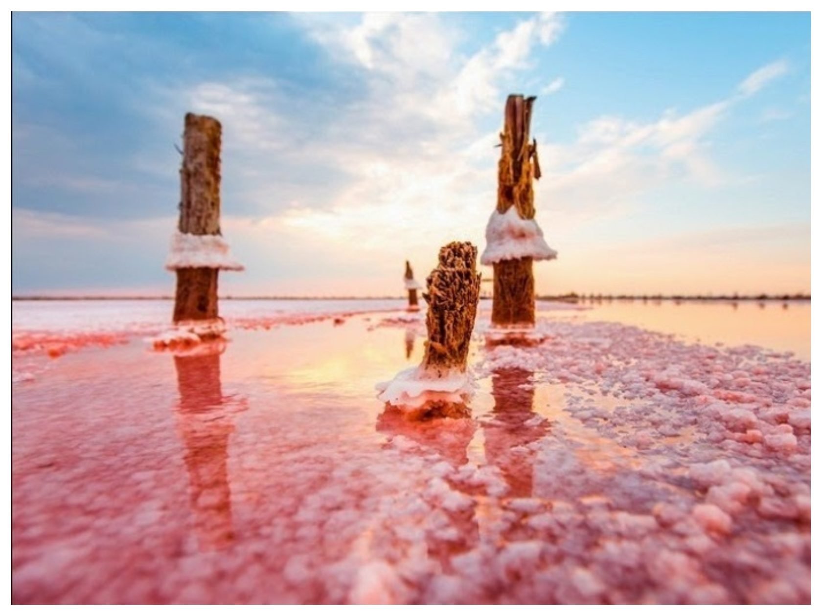 Соленое розовое озеро Сасык-Сиваш