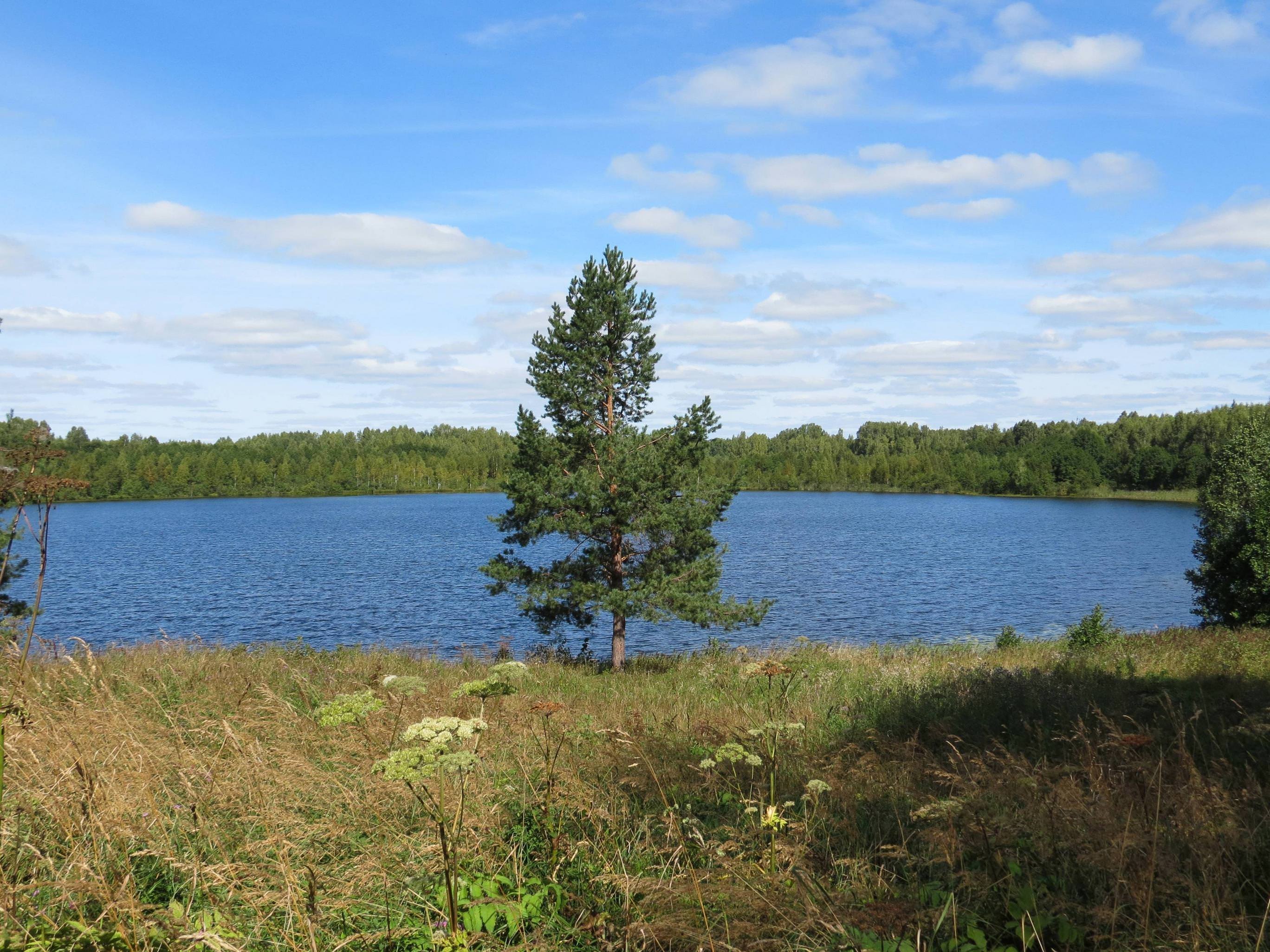 Озеро Светлояр Воскресенский район