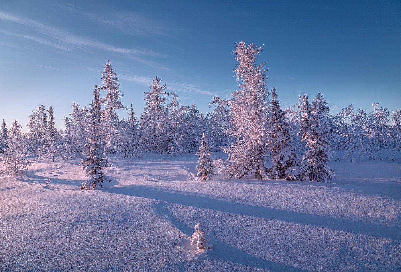 Ямальский пейзаж зимой