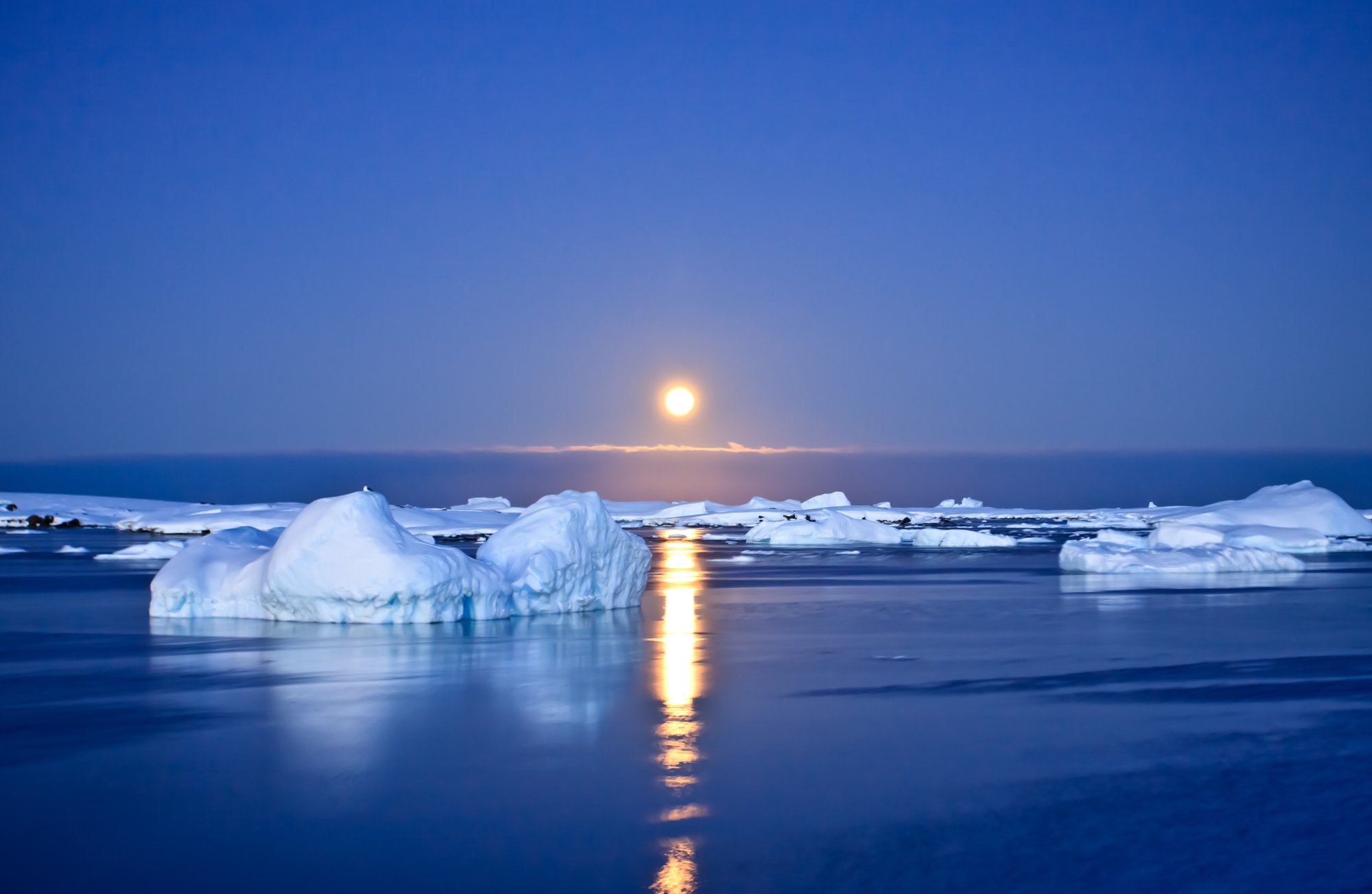 Южный и Северный полюс Арктика и Антарктида