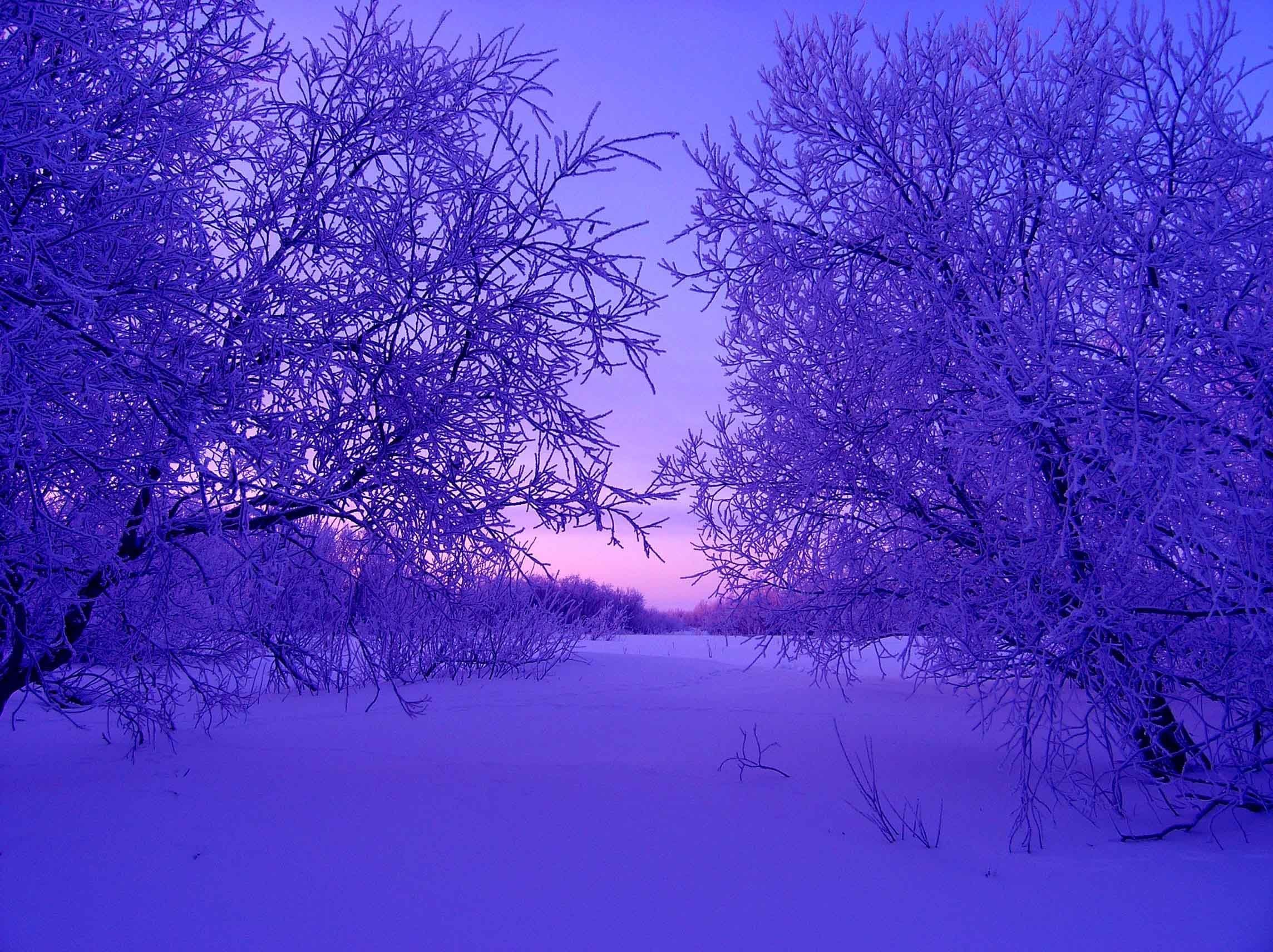Зимний пейзаж в фиолетовых тонах