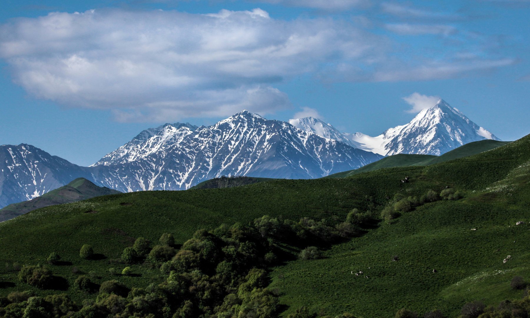 Чечня кавказский хребет