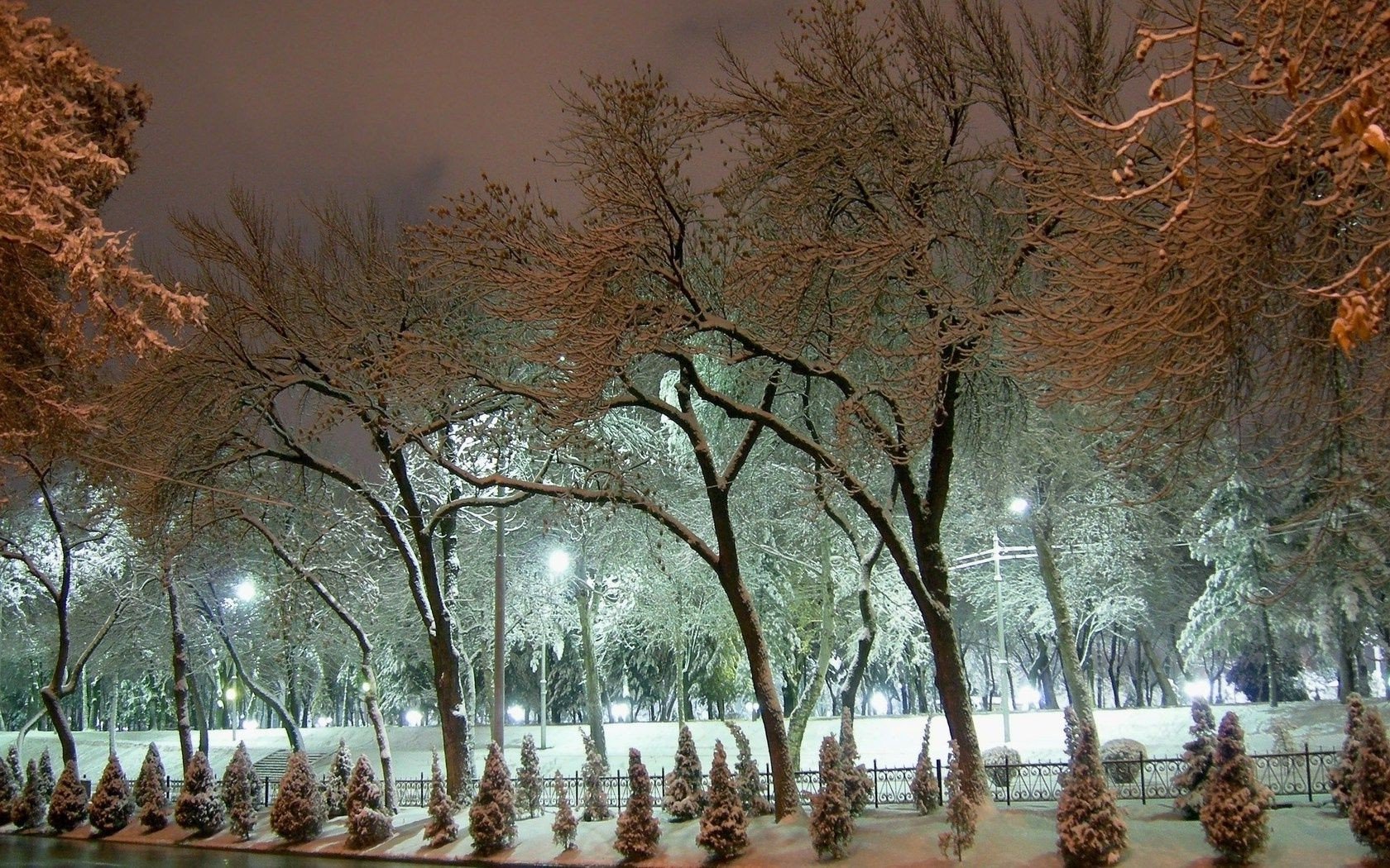 Ташкент сквер zima