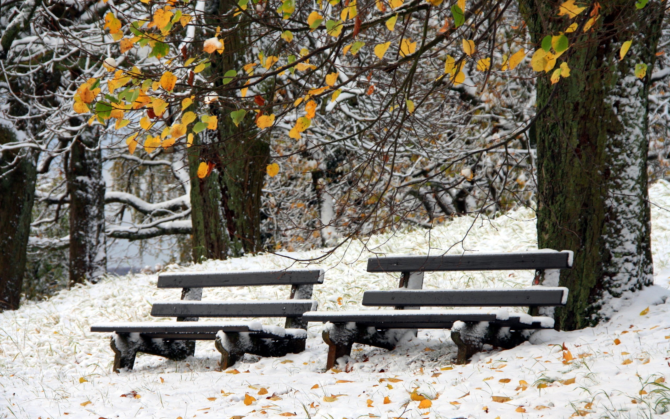 снег лежал на скамейках сквера накрывал