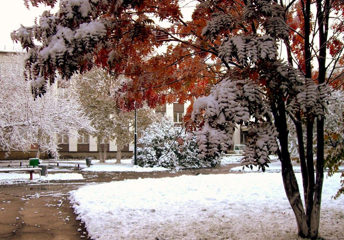 Город осень первый снег
