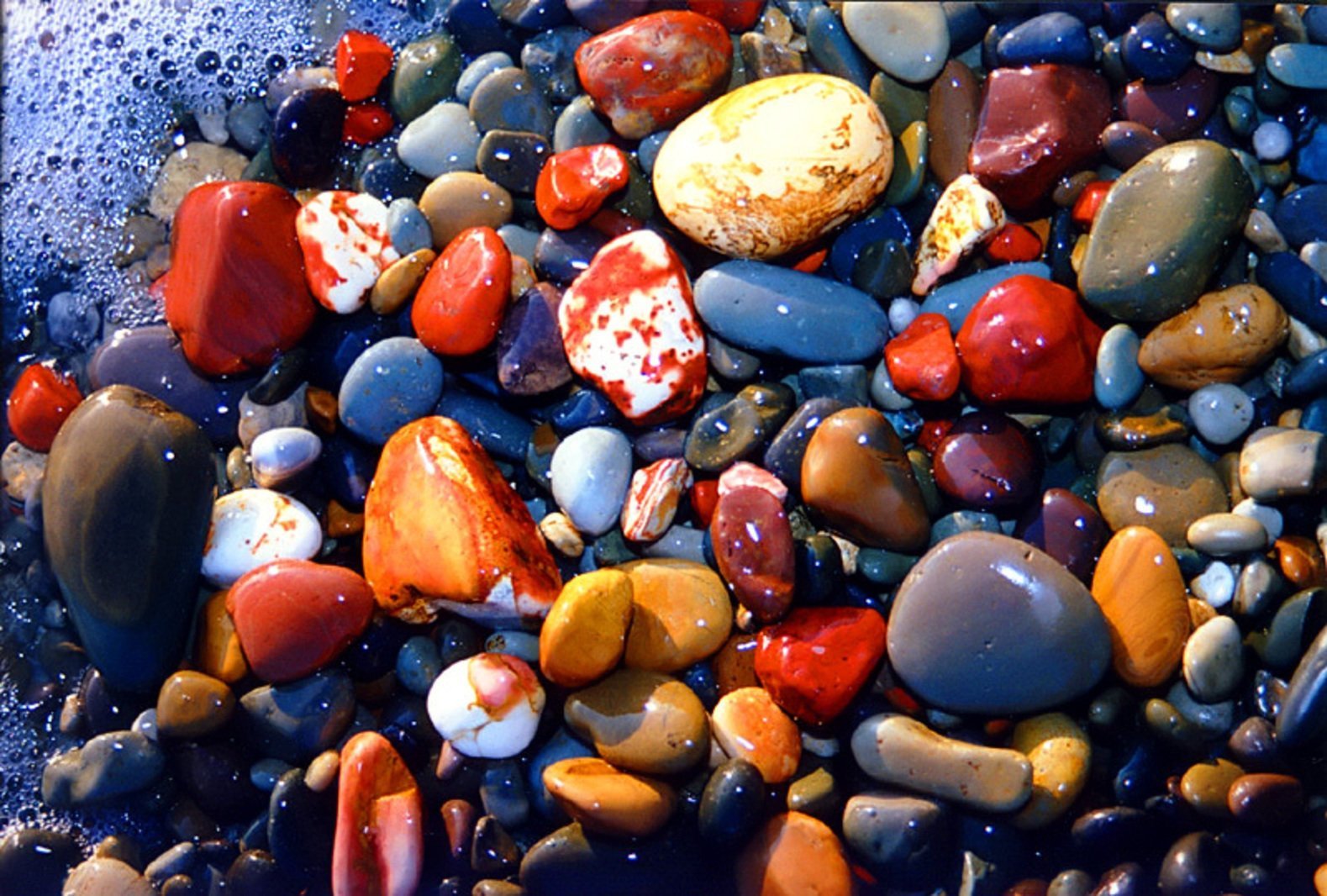 Красивые морские камни
