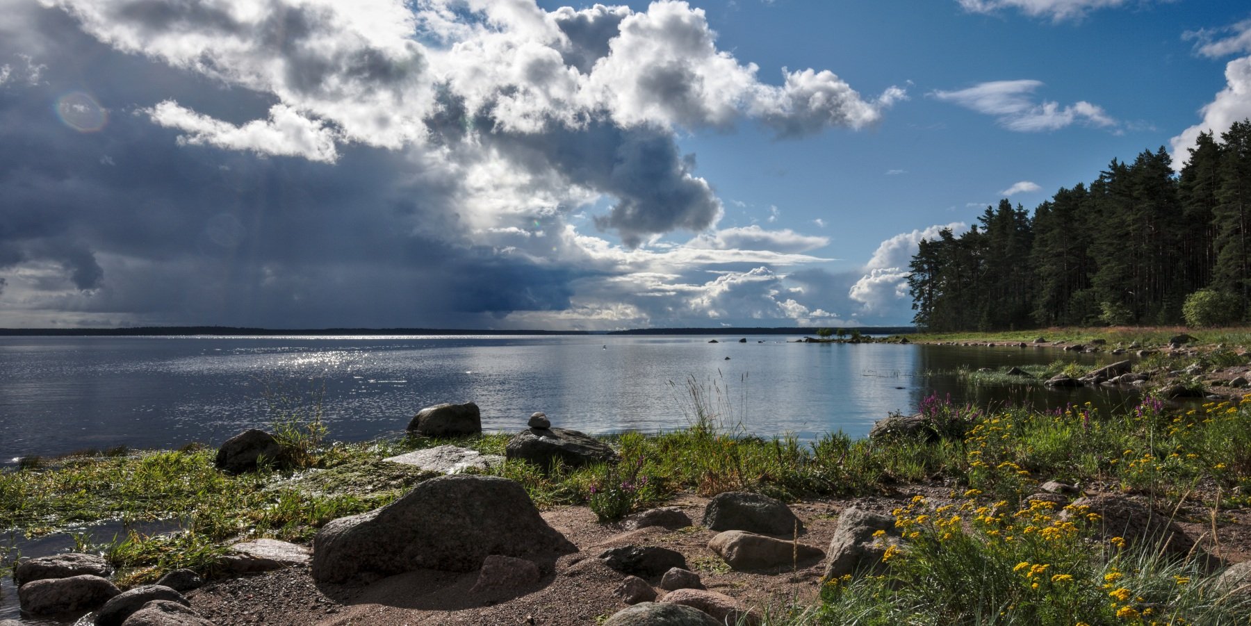 Выборг берег финского залива