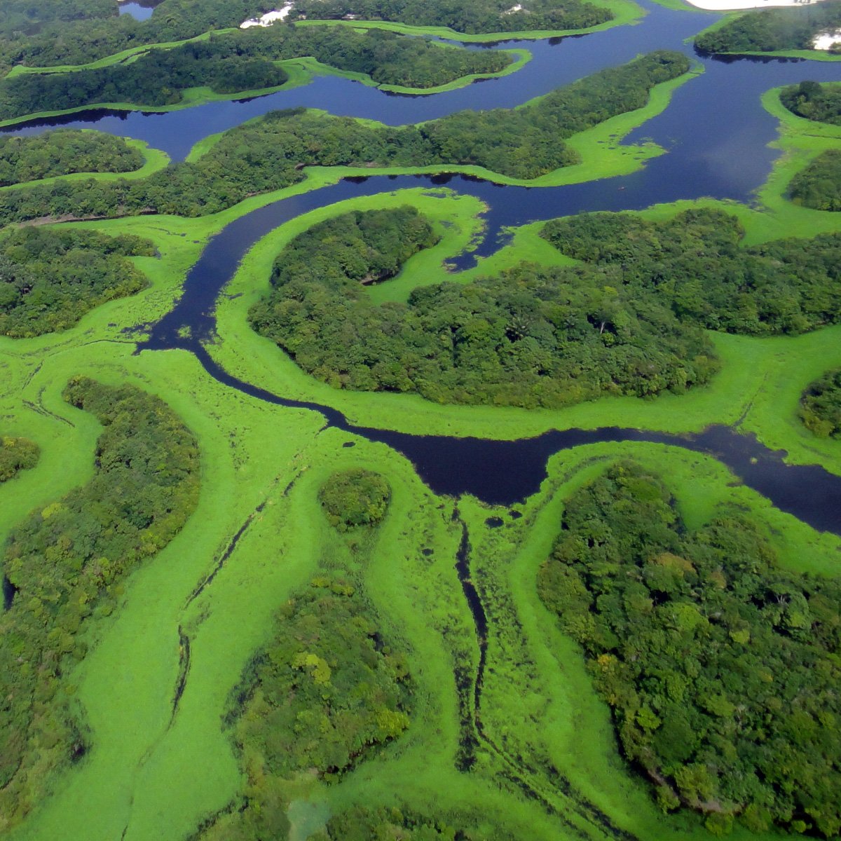 Амазония національний парк