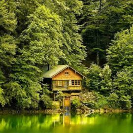 Дом в лесу у озера (93 фото)