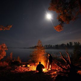 Костёр в лесу ночью (89 фото)