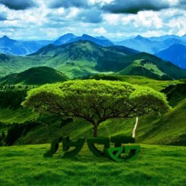 Зеленые горы (66 фото)