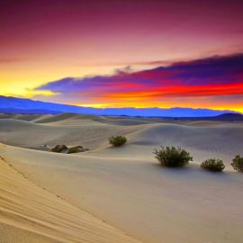 Рассвет в пустыне (66 фото)