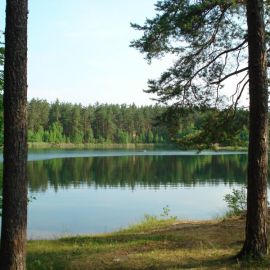 Зелёное озеро Луга (71 фото)