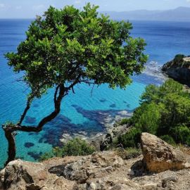 Остров Пафос (57 фото)