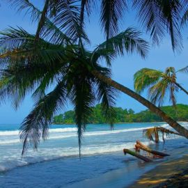 Коста Рика пляжи (89 фото)