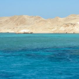 Красное море Египет (98 фото)
