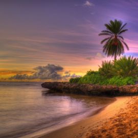 Море солнце пальмы (54 фото)