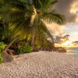 Море пальмы и песок (9 фото)